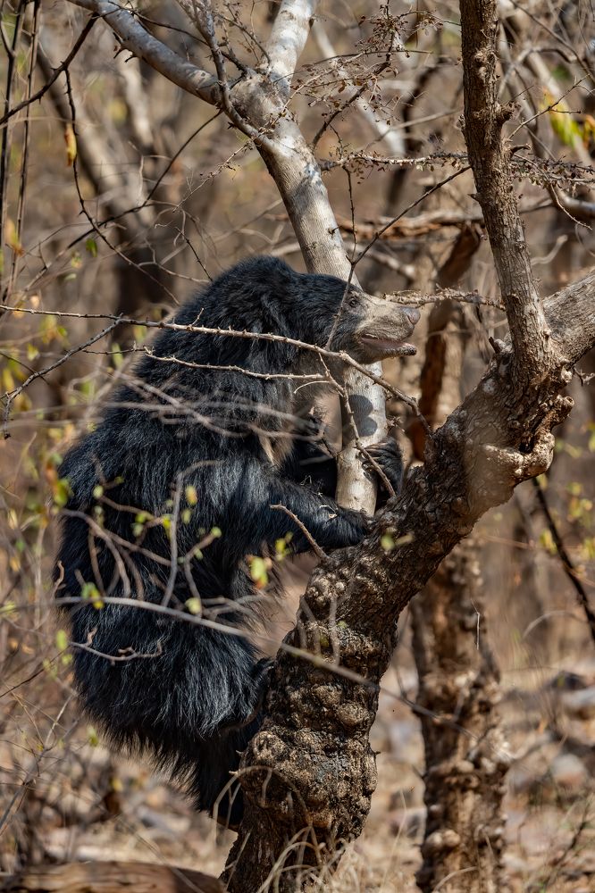 Photograph by DEEPA GIRISH