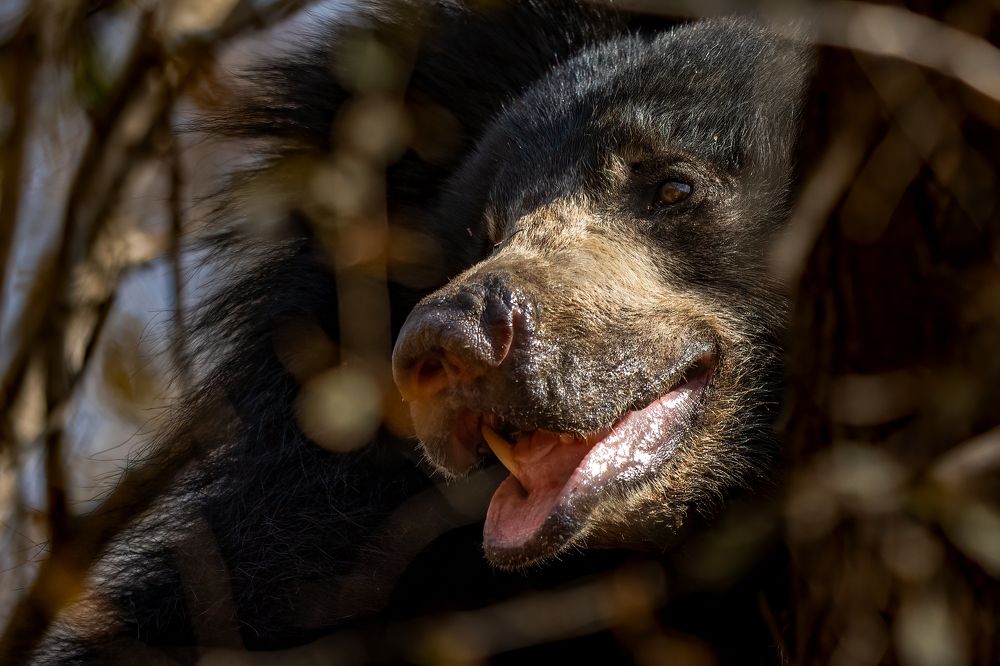 Photograph by DEEPA GIRISH