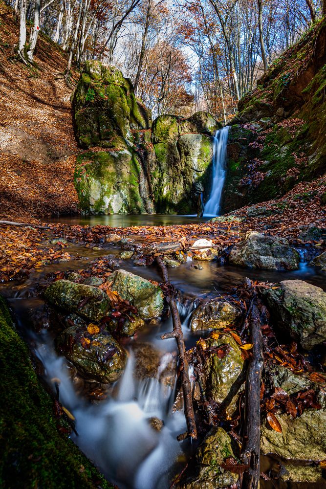 Photograph by levi bagy