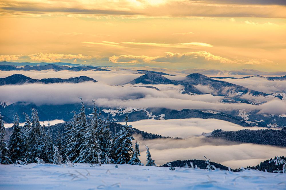 Photograph by levi bagy