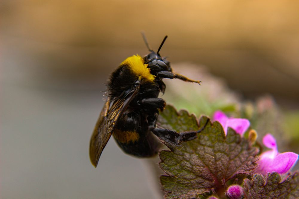 Photograph by Ирина Дмитриенко