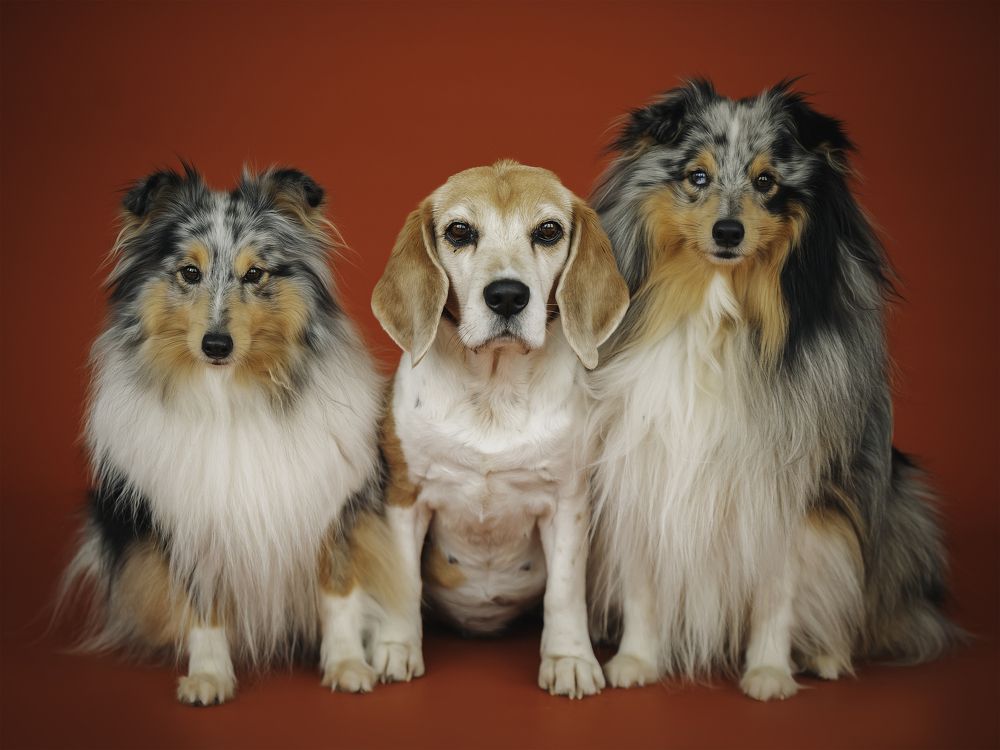 Photograph by Anna Sindikayeva