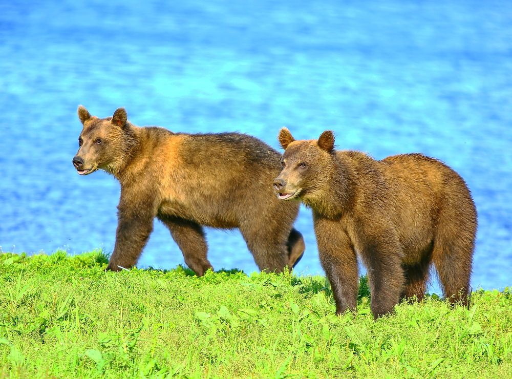 Photograph by VictОr