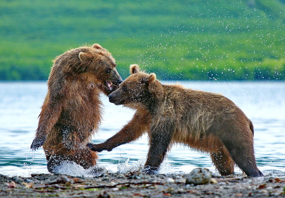 Photograph by VictОr