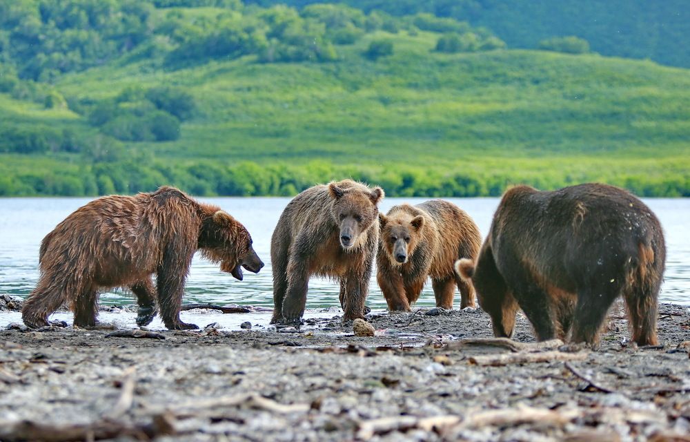 Photograph by VictОr