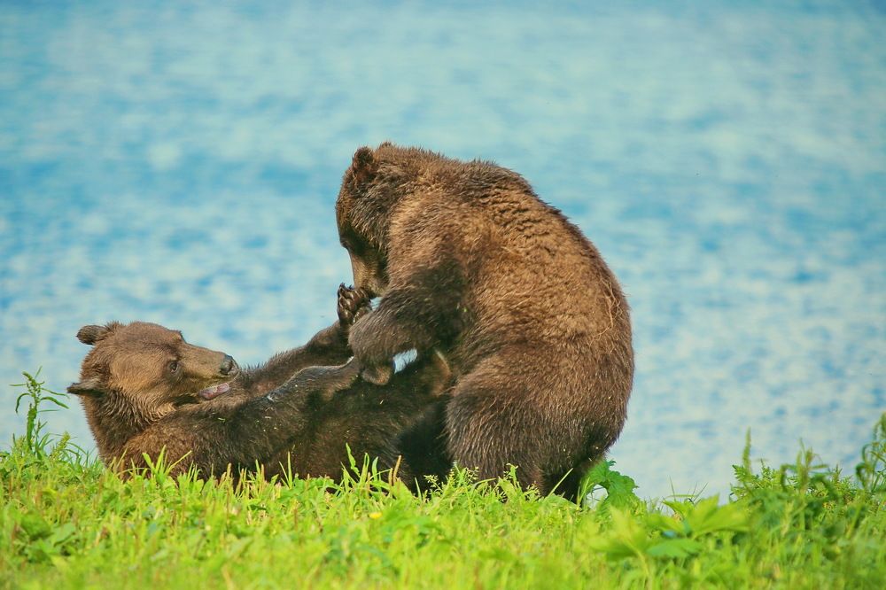 Photograph by VictОr