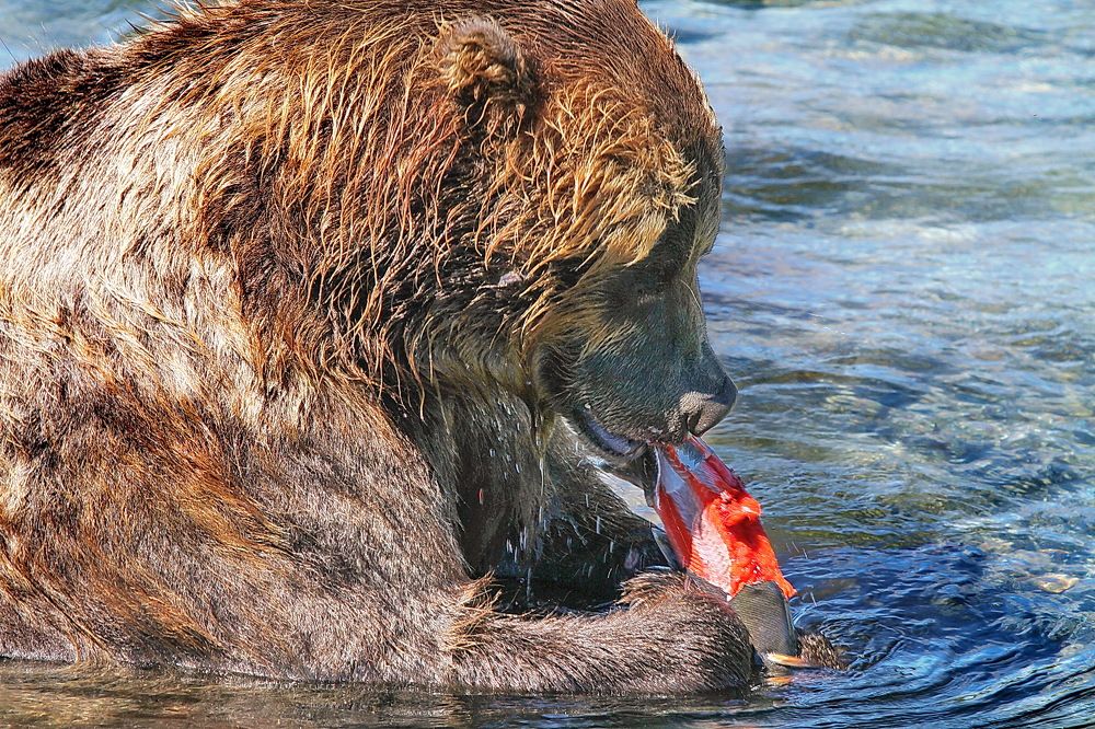 Photograph by VictОr