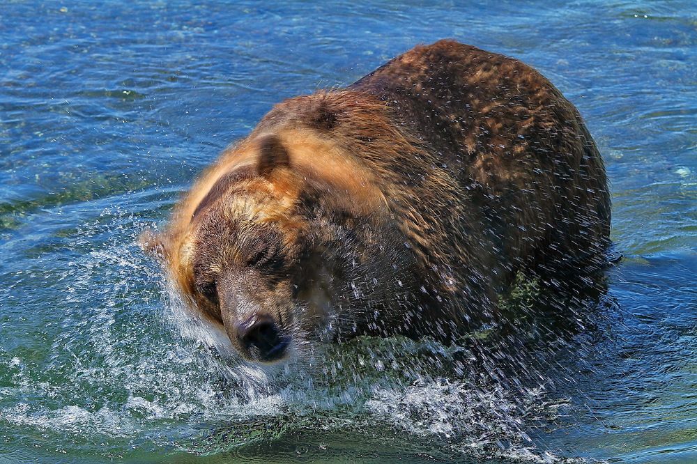 Photograph by VictОr