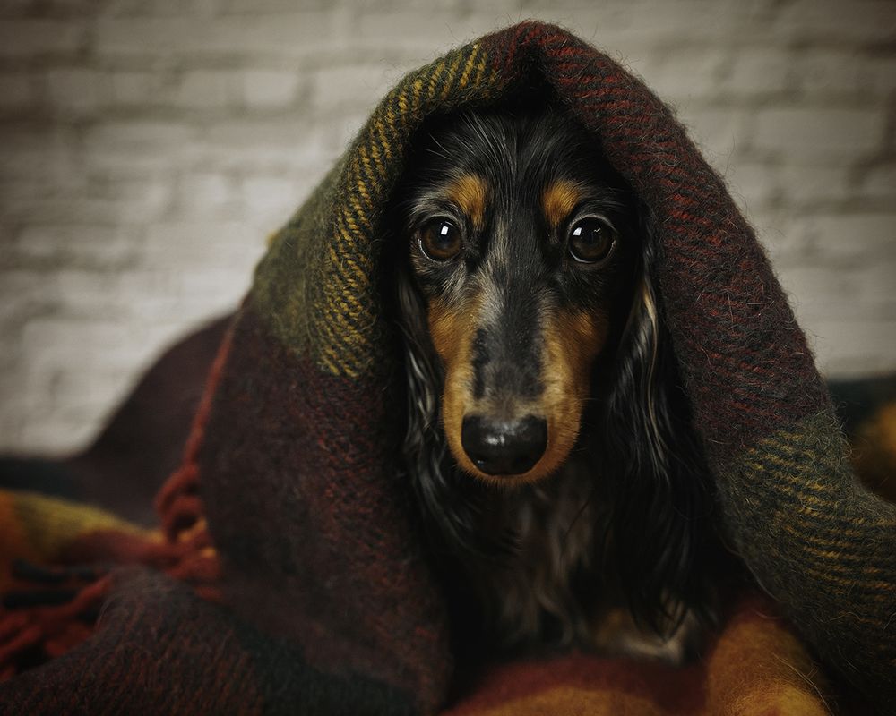 Photograph by Anna Sindikayeva