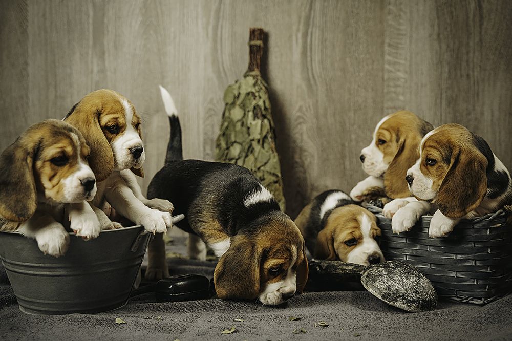 Photograph by Anna Sindikayeva