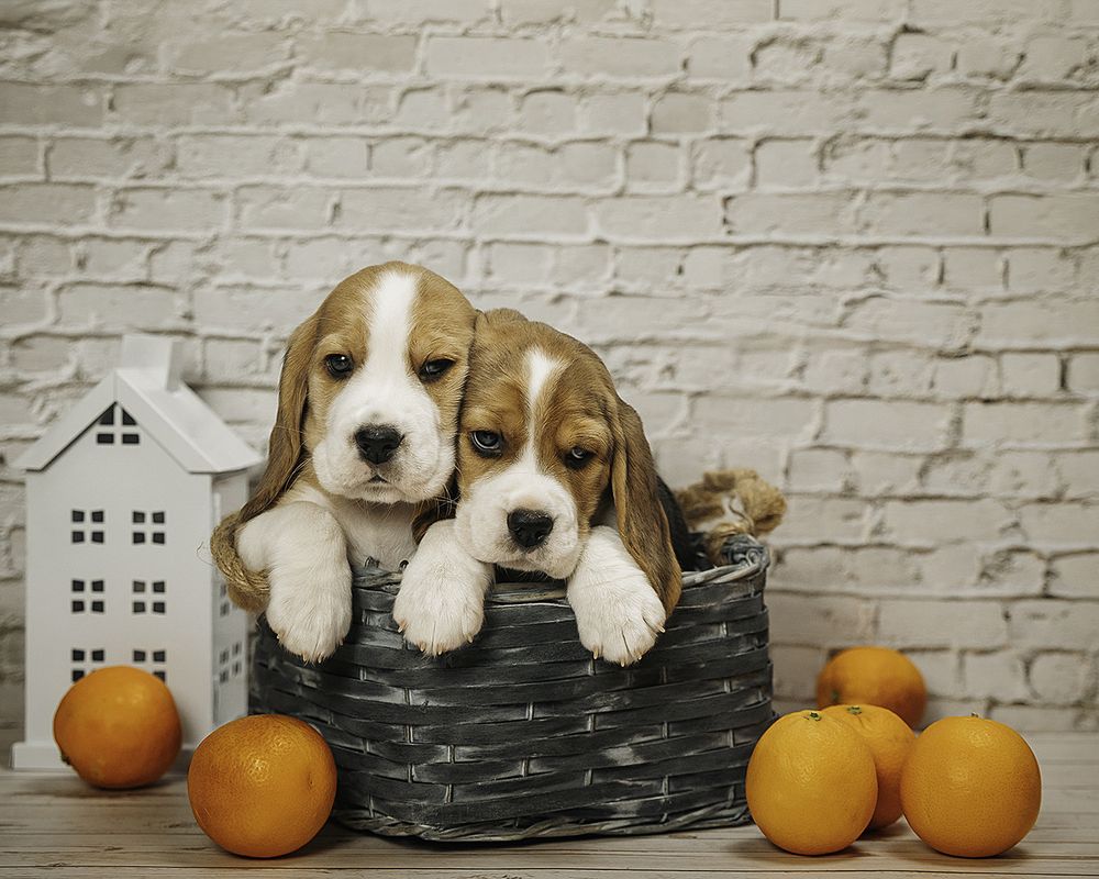 Photograph by Anna Sindikayeva