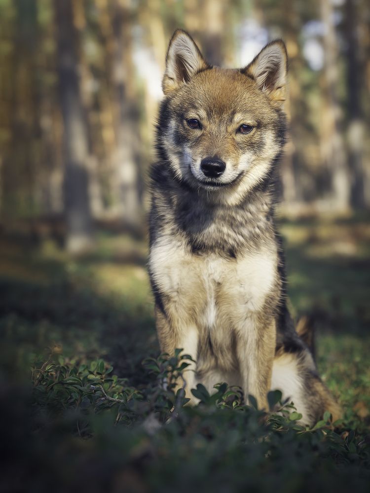 Photograph by Anna Sindikayeva