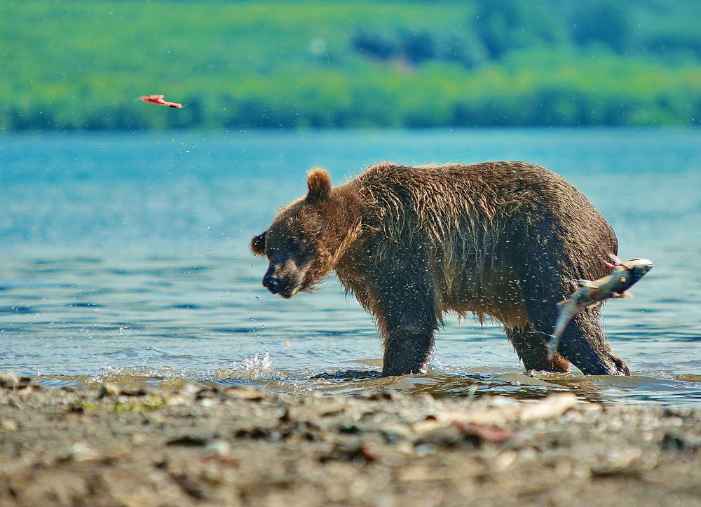 Photograph by VictОr