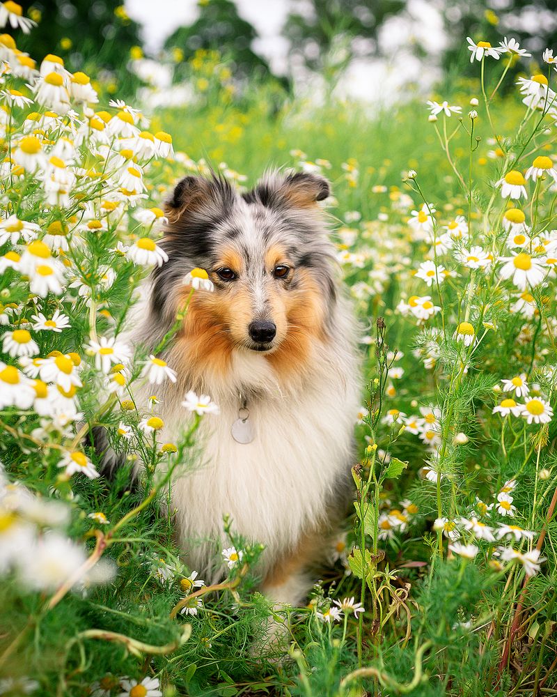 Photograph by Anna Sindikayeva