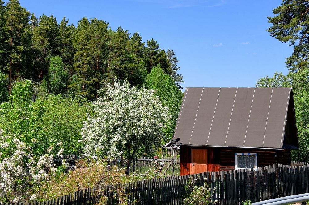 Photograph by эдуард петруша