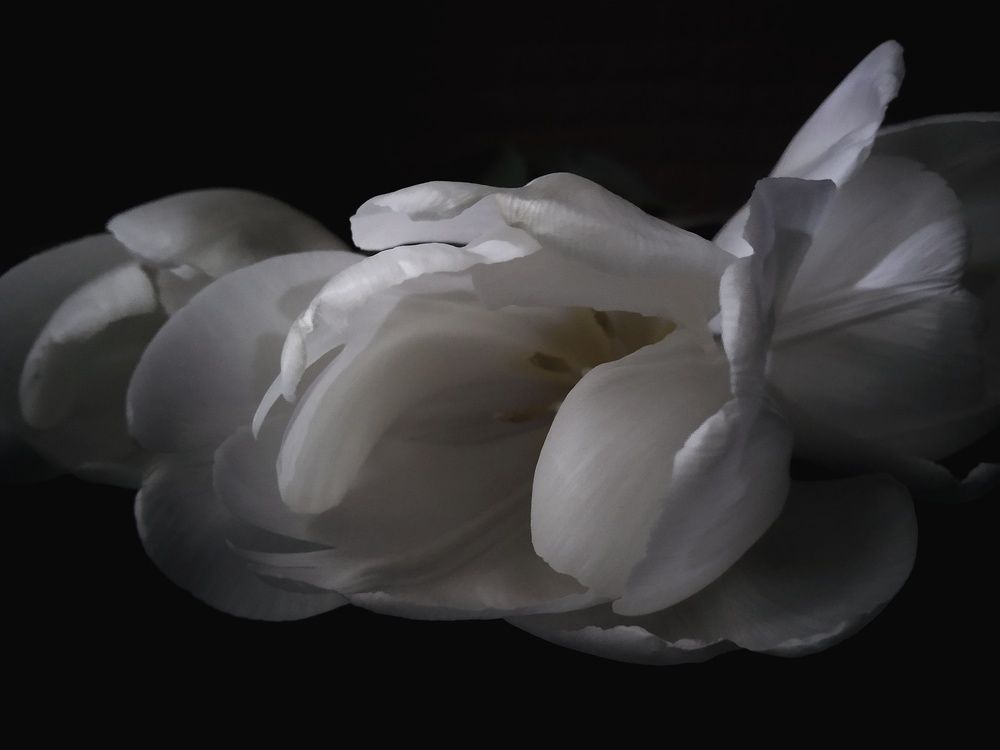 Photograph by Anastasiya Danilova