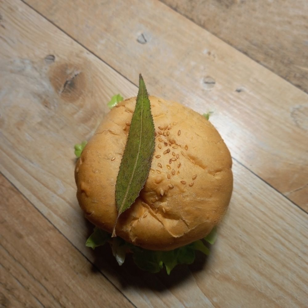 Фотография автора Мария Боровикова