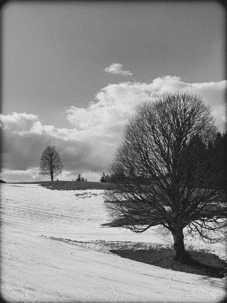 Photograph by Alena Vaganova