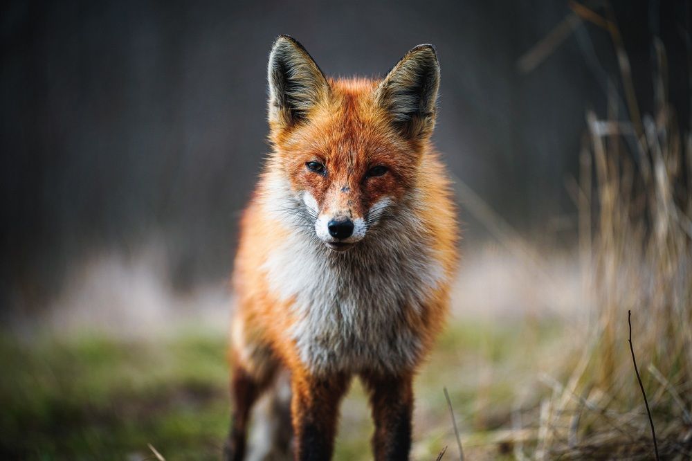 Photograph by Иван Ларин