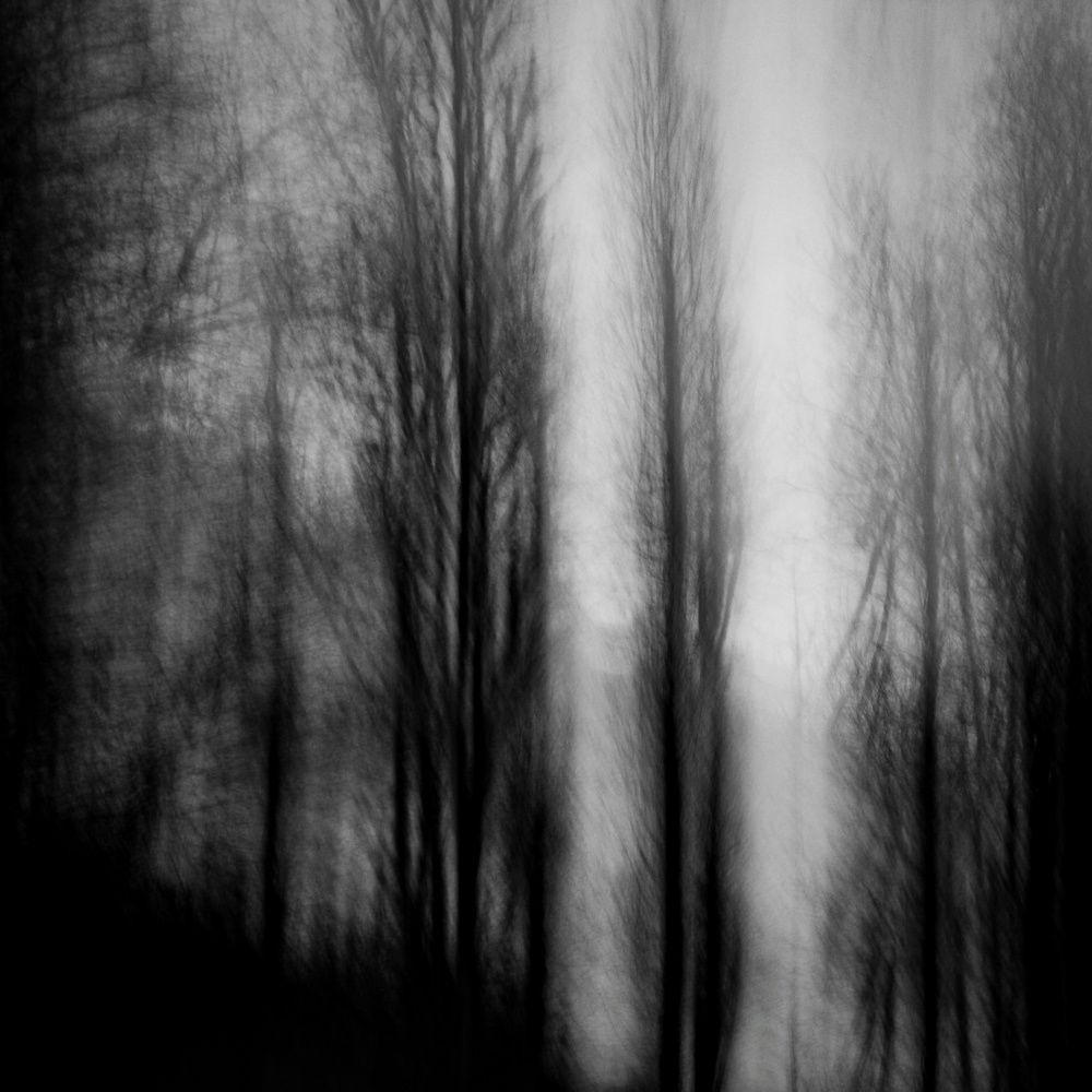 Photograph by Mostafa Mortazavi