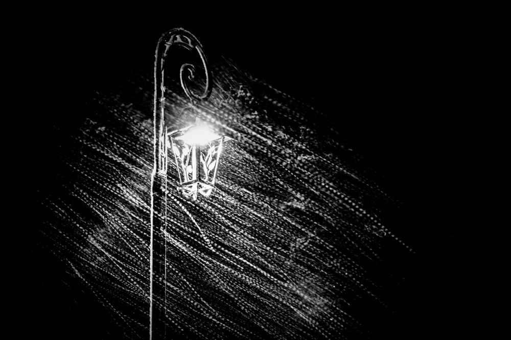 Photograph by Alvils Baltins