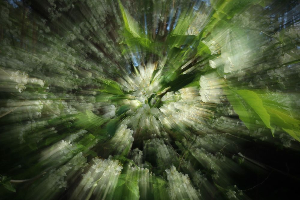 Photograph by Lyudmila Klimanova