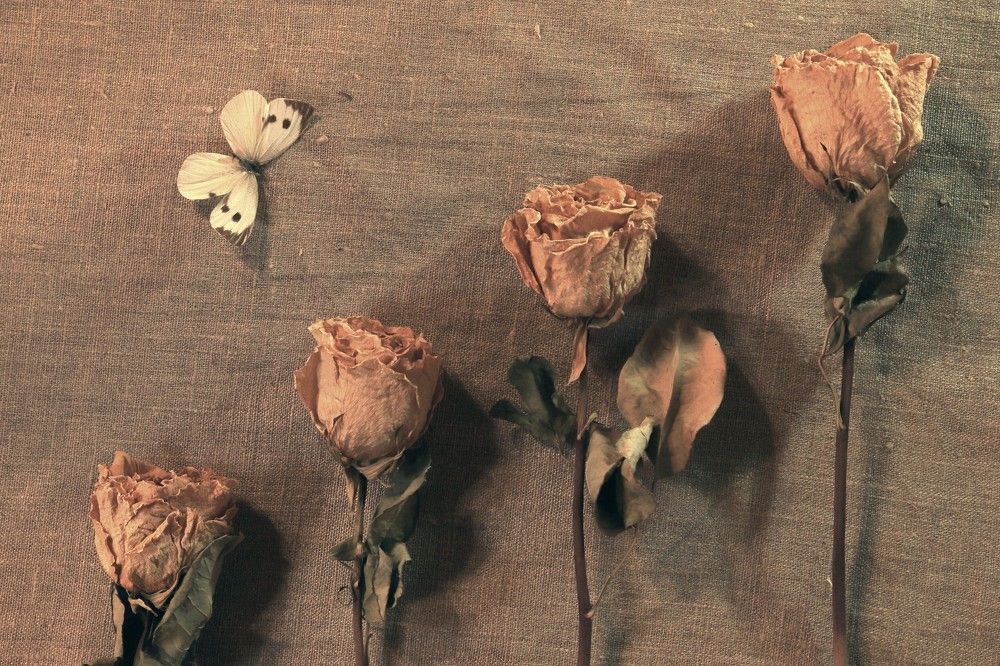 Photograph by Alvils Baltins