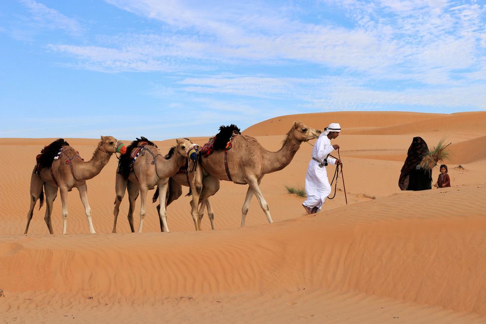 Photograph by salem sultan