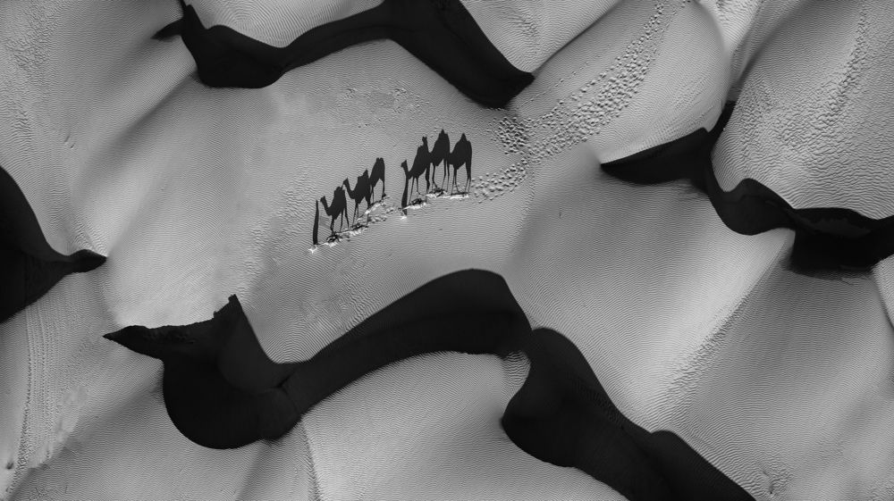 Photograph by salem sultan