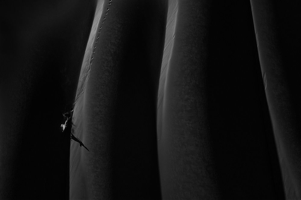 Photograph by salem sultan