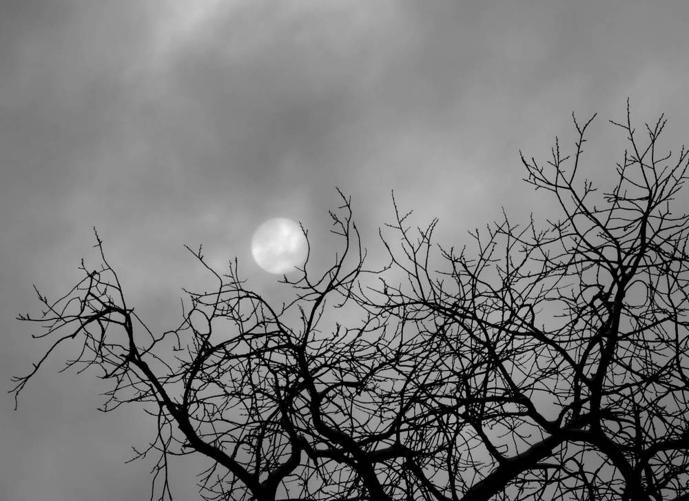 Photograph by Павел Васильев