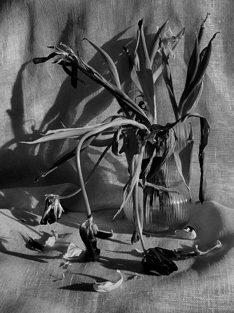 Photograph by Deiltora