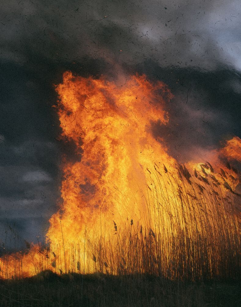 Photograph by Олег Сухенко