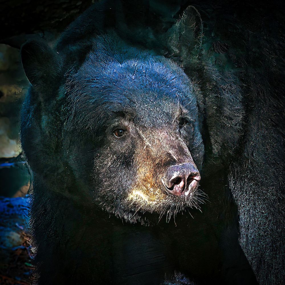 Фотография автора Raymond Asiala