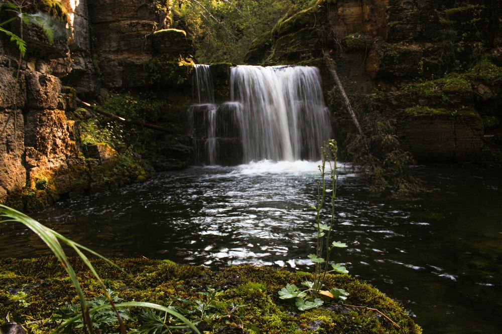 Фотография автора Александр Довганюк