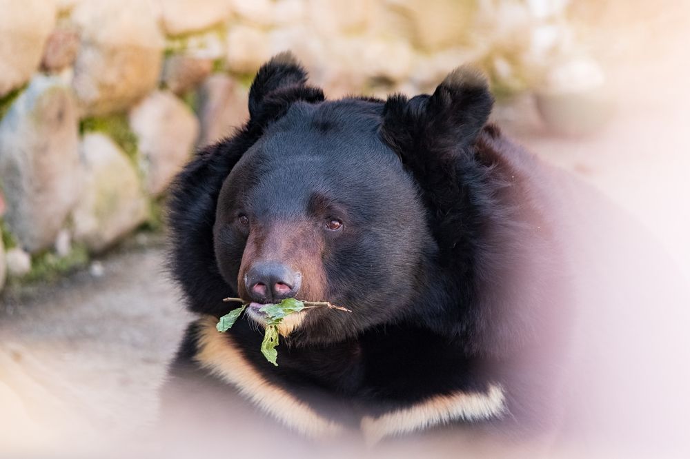 Photograph by Наталия Морозова