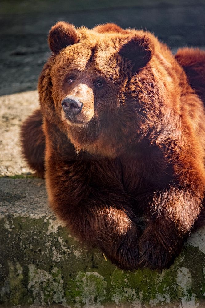 Photograph by Наталия Морозова