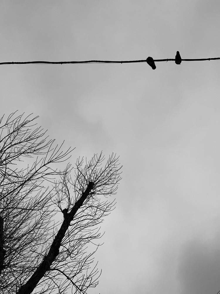 Photograph by Валерия