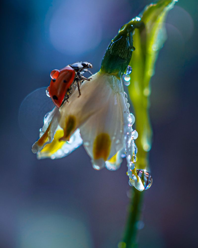 Пробуждение природы.