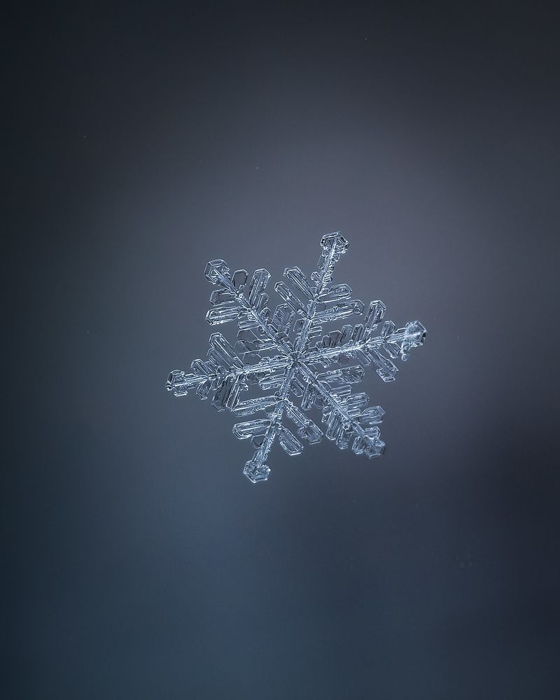 Ледяные кристаллы