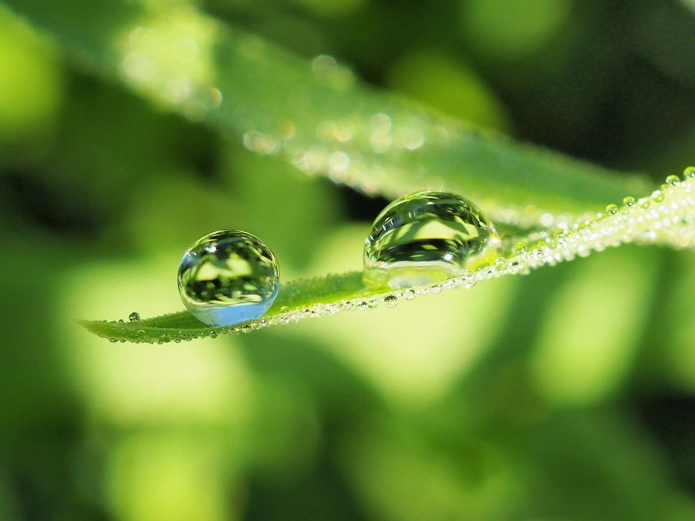 Photograph by Елена Харитонова