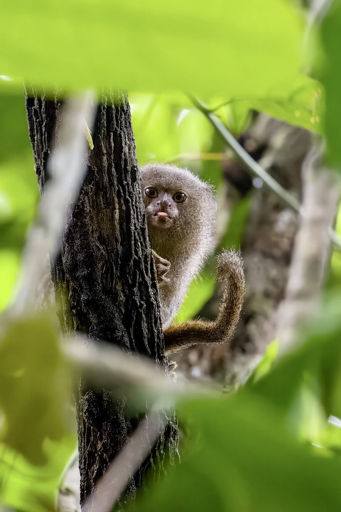 Photograph by Valentina Cucchiara