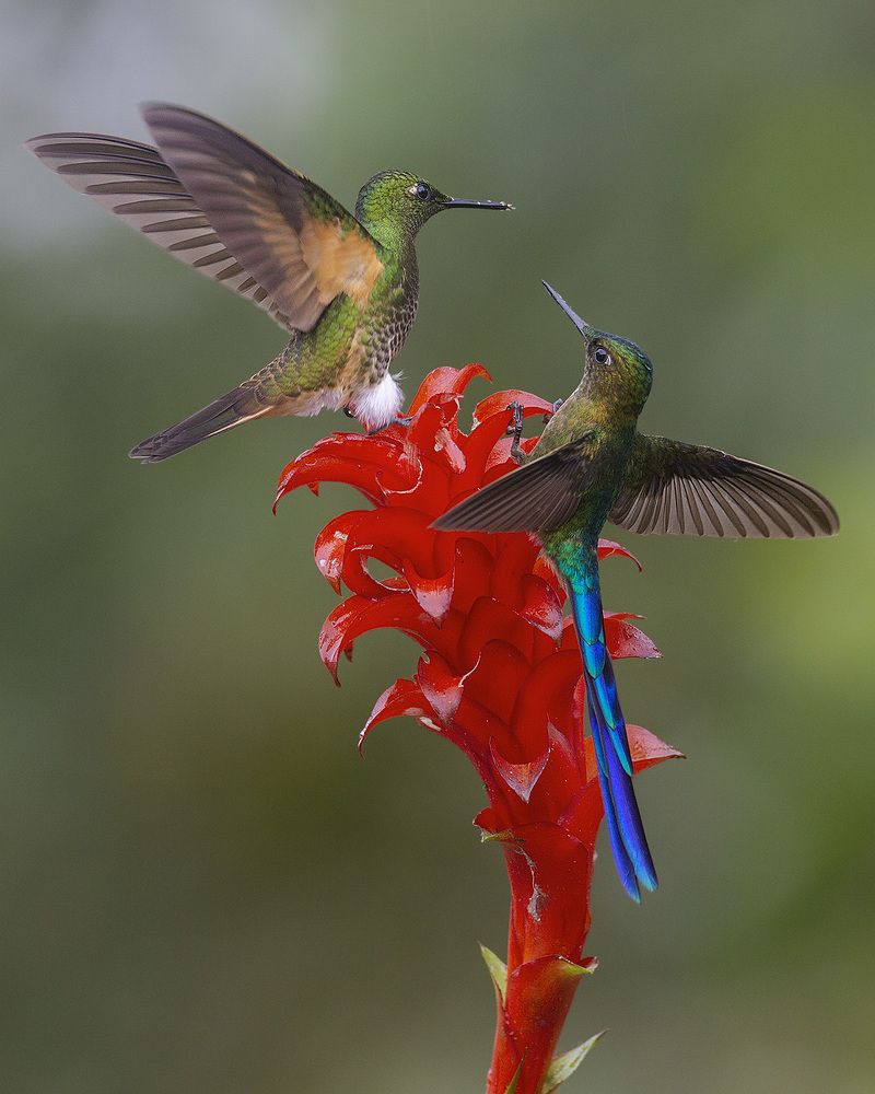 Photograph by Jefferson R O Silva