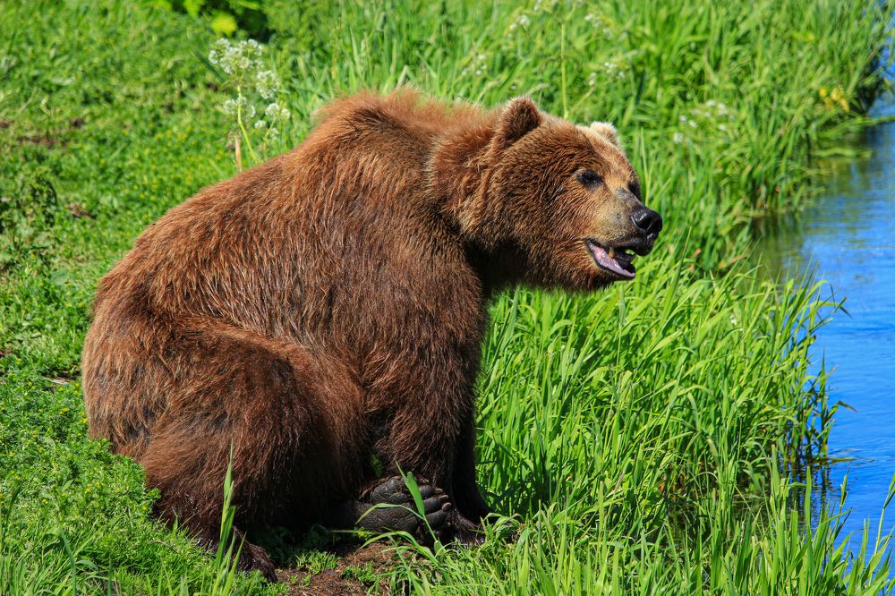 Фотография автора Александр Довганюк