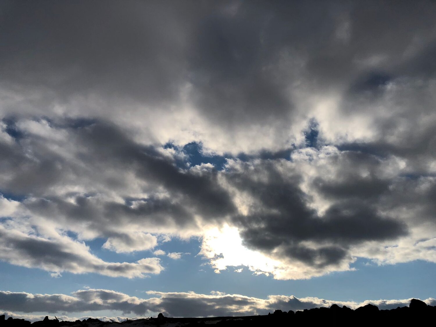 Photo #9023920
