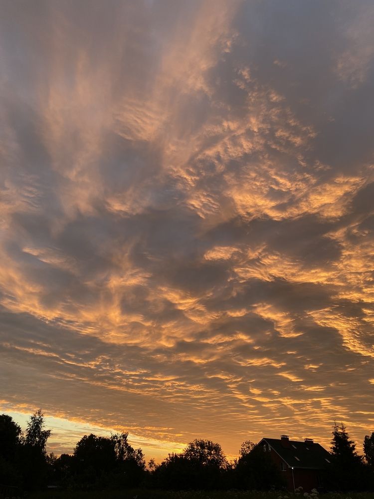 Photograph by Ольга Галкина