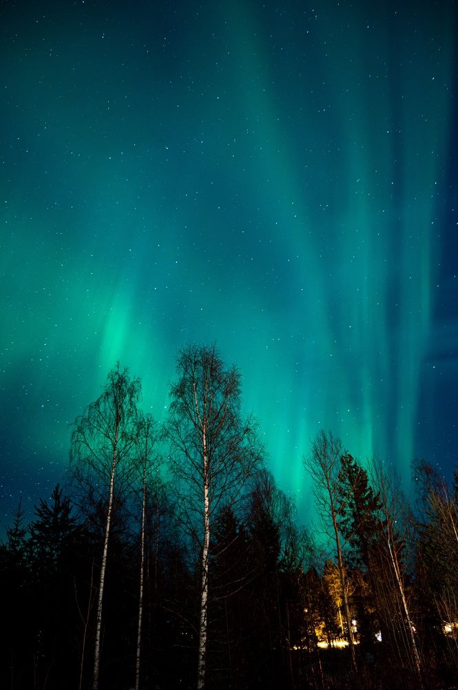 Photograph by Mohamad Ali