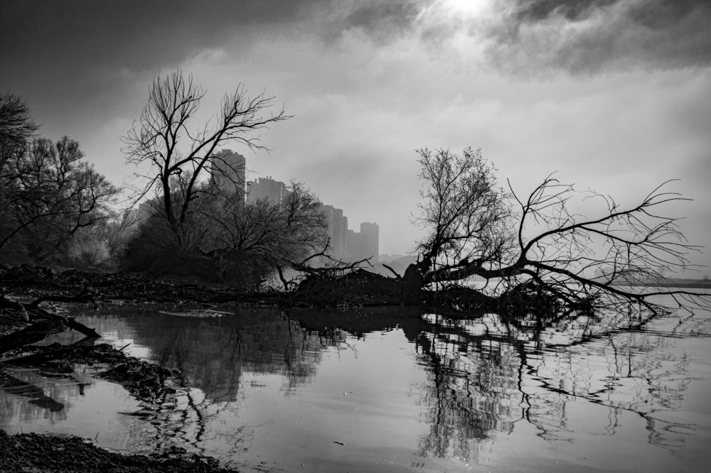 Photograph by Ольга