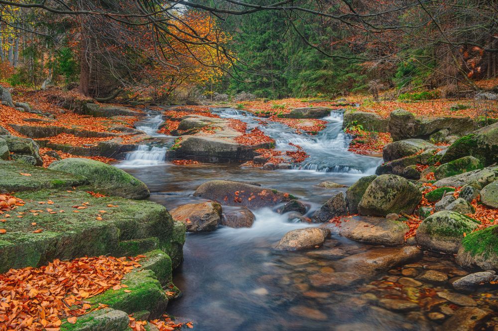 Photograph by Ожерельев Андрей