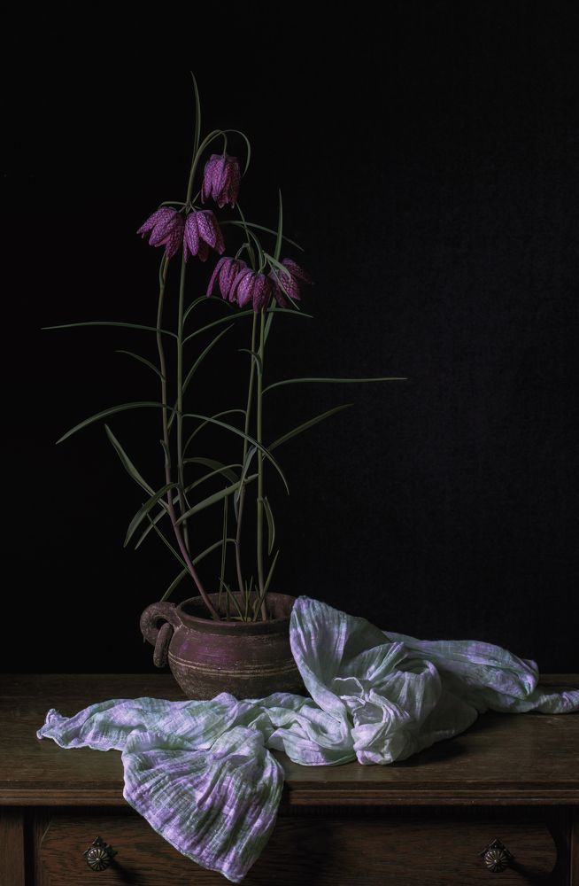 Фотография автора Uljana Kuchar